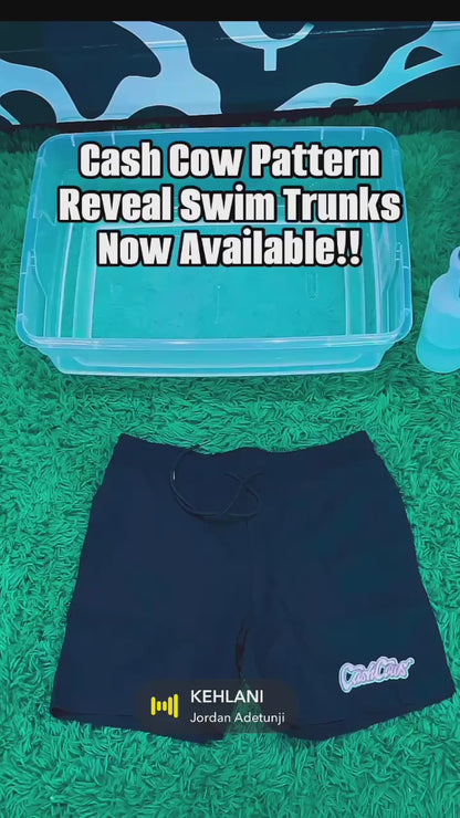 Pattern Reveal Swim Shorts